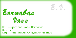 barnabas vass business card